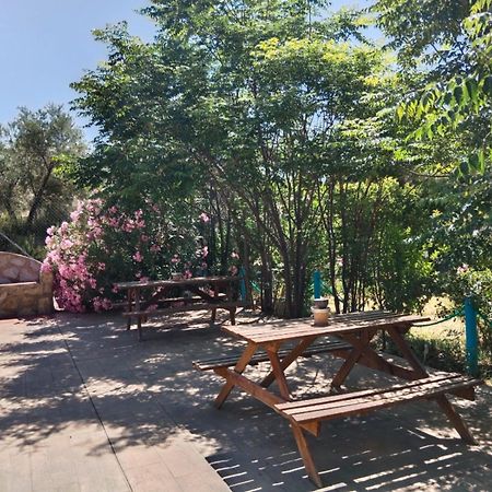 Finca Los Villegas 卡斯特里尔 外观 照片