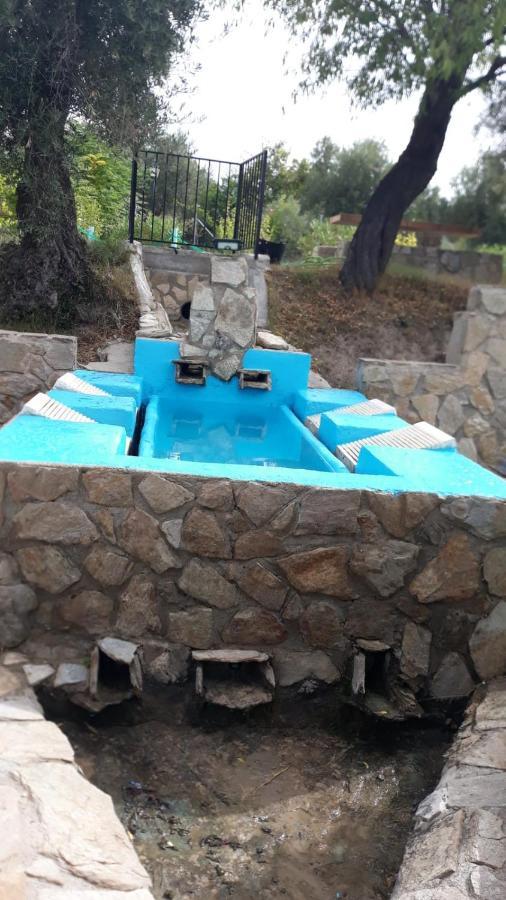 Finca Los Villegas 卡斯特里尔 外观 照片