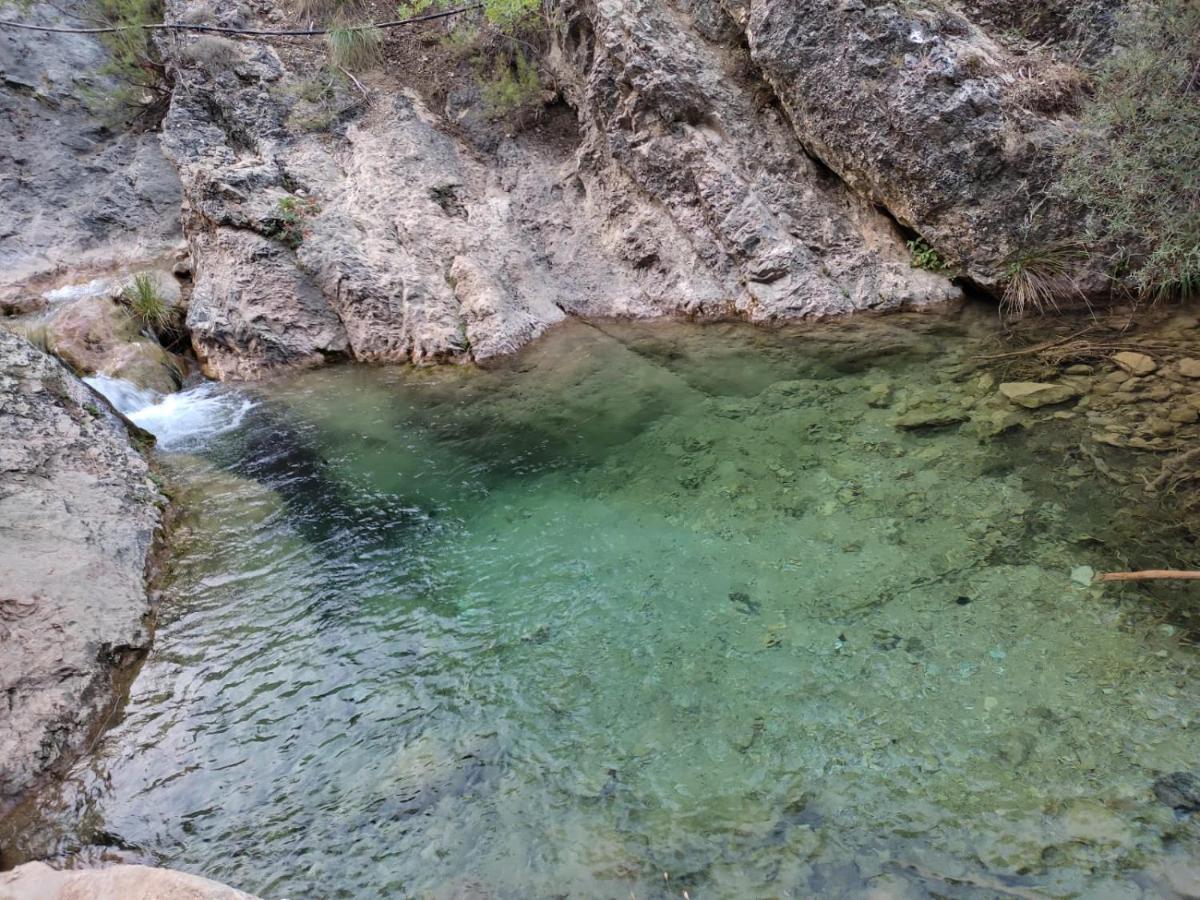 Finca Los Villegas 卡斯特里尔 外观 照片