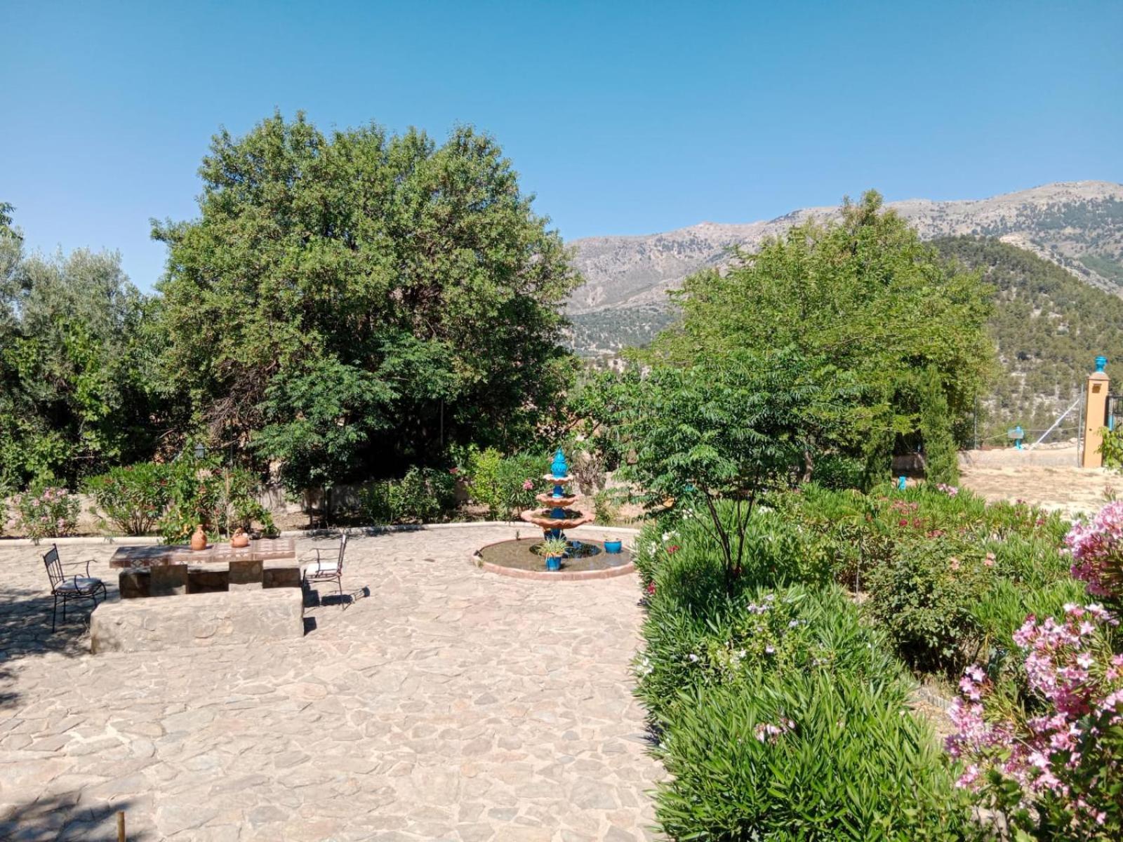 Finca Los Villegas 卡斯特里尔 外观 照片